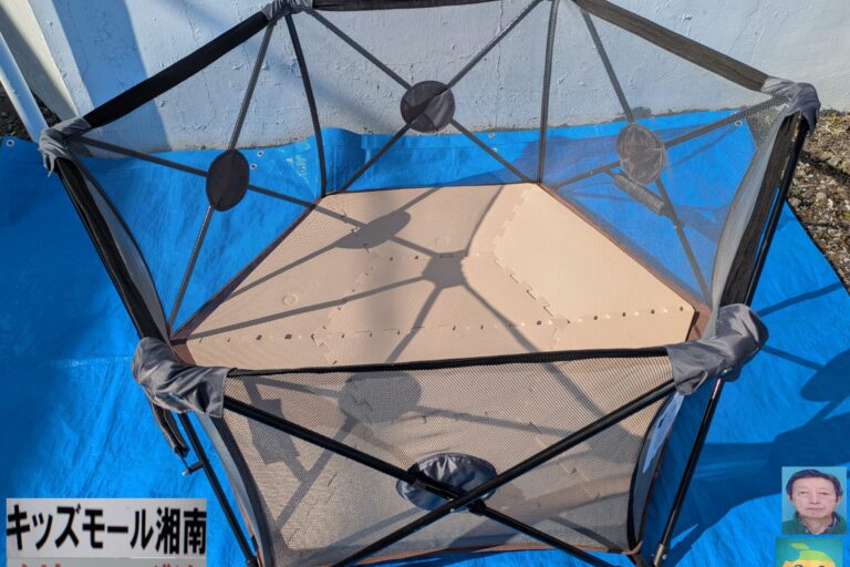 PXL_20260127_025038743